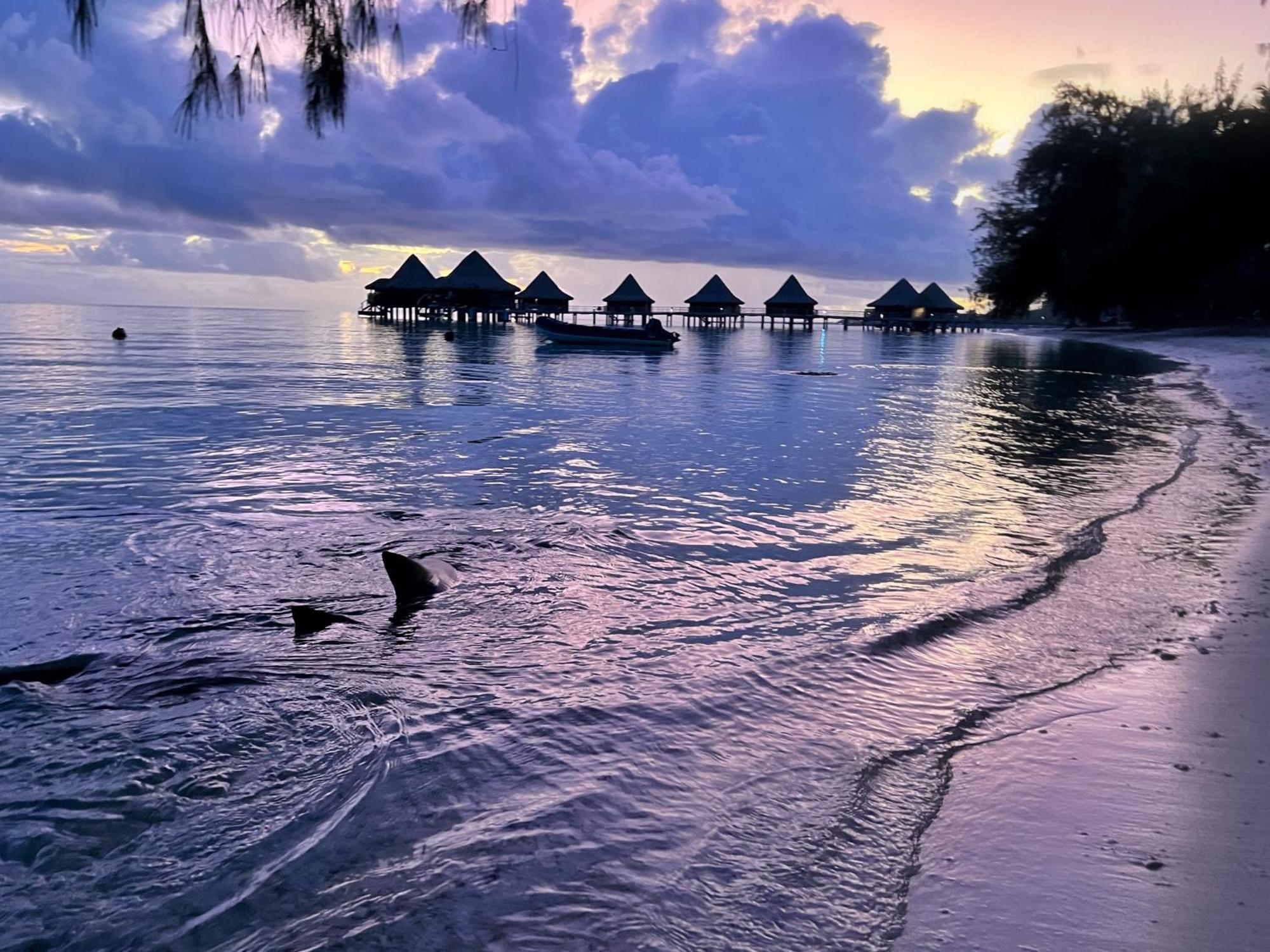 Hinamoe Lodge Аватору Екстер'єр фото